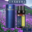 【Pavaruni】美國天然植物40種香味萃取香薰擴香精油10ml(薰香機 水氧機 薰衣草 檀香 玫瑰 雪松 白茶 茉莉)