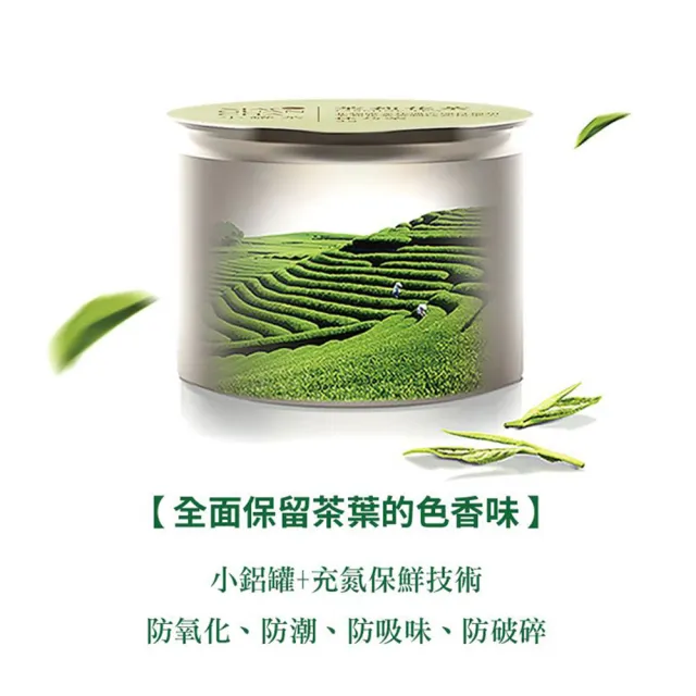 【iTQi 定迎】經典綜合小罐茶木製茶葉禮盒6gx20入附提袋