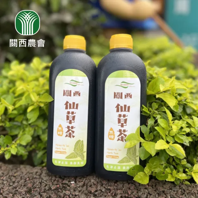 【2026】青草茶推薦10款高評價人氣品牌排行榜 | BALIMAN情報局