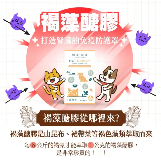 【GOODMO 歸毛家族】Good寶系列-護腎寶30粒*2瓶(寵物 保健品 腎臟保健 貓 狗)