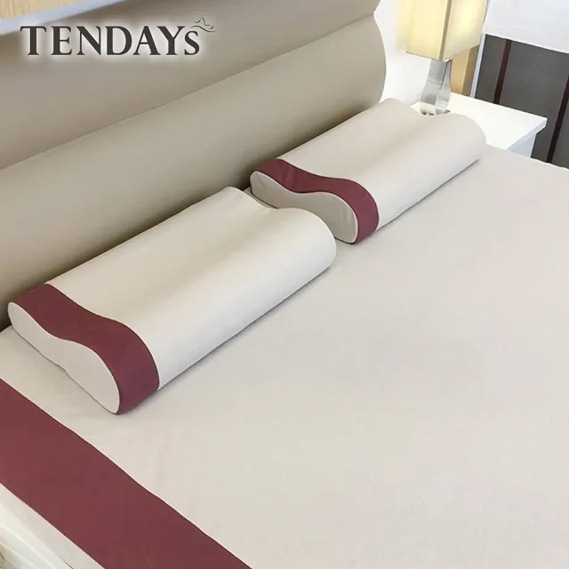 【TENDAYS】玩色柔眠記憶枕(焦糖莓 8/10cm任選)