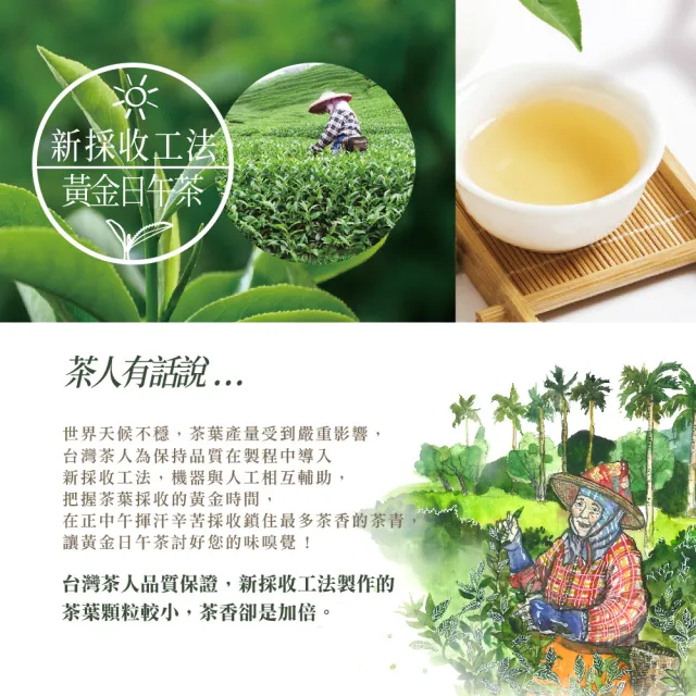 【台灣茶人】杉林溪風味烏龍茶葉150gx8包(共2斤)