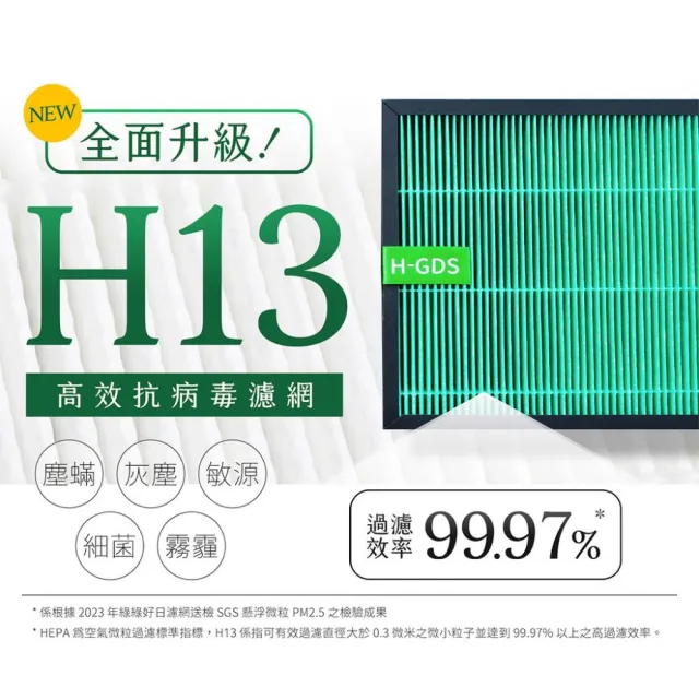 【Have Green Days 綠綠好日】適用 戴森 Dyson HP06/TP06/PH02/HP07/TP07/HP09 抗菌HEPA濾網 2入組