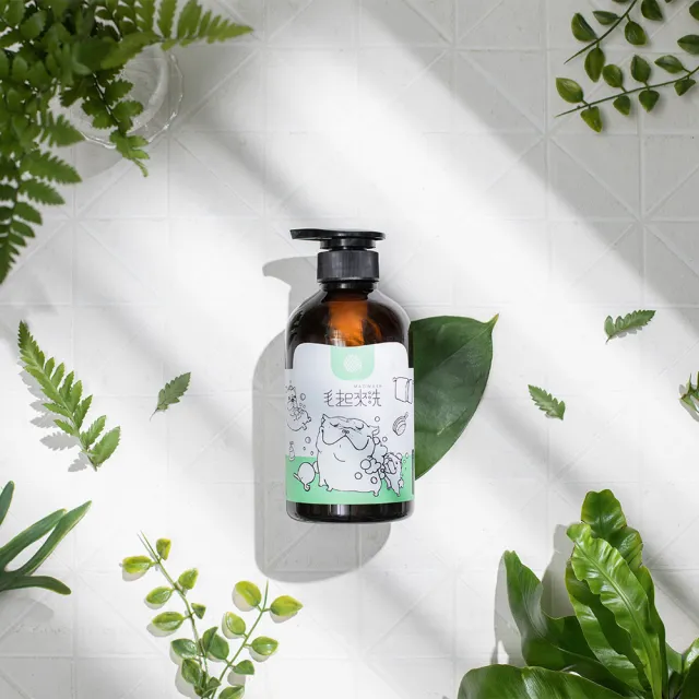 【MAOUP 毛起來】草本養護 癢癢退散寵物洗毛精 汪汪專用500ml 3罐組(狗洗毛精 狗沐浴乳)