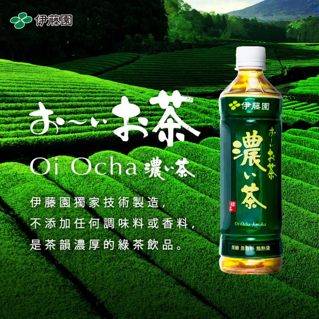 【伊藤園】Oi Ocha 濃味綠茶530mlx2箱(共48入)