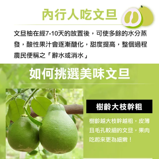 【享吃鮮果-中秋禮盒】台南麻豆老欉文旦柚2箱(6-8顆/箱/5斤 水果禮盒)