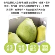【享吃鮮果-中秋禮盒】台南麻豆老欉文旦柚2箱(6-8顆/箱/5斤 水果禮盒)