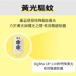 【Digimax】四合一強效型超音波驅鼠器 UP-11H 二入組(適用60坪)