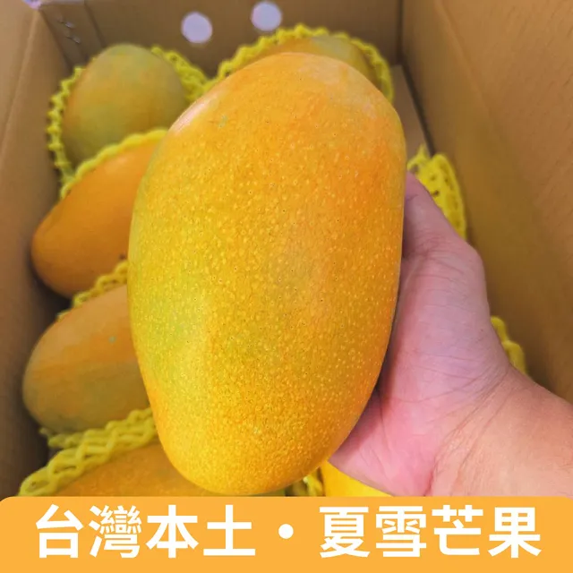 【仙菓園】台灣在地 巨無霸夏雪芒果 原箱裝5kg±10%(冷藏配送)