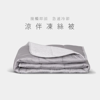 【寶麒麗泰】涼伴凍絲被 - 雙人被 ｜6x7尺(涼被 / 四季被 / 水洗被)