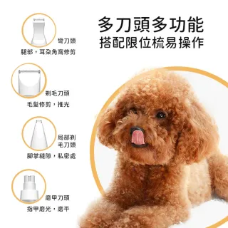 【ROYAL LIFE 皇室生活】多功能寵物磨甲剃毛器組-4入組(寵物剃毛器/寵物剪毛器/寵物剃毛/貓狗可用)