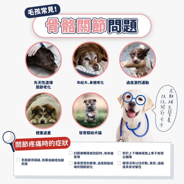 【汪汪寶貝】增骨力Plus+ 30包/盒(貓狗保健/寵物益生菌/關節保養)