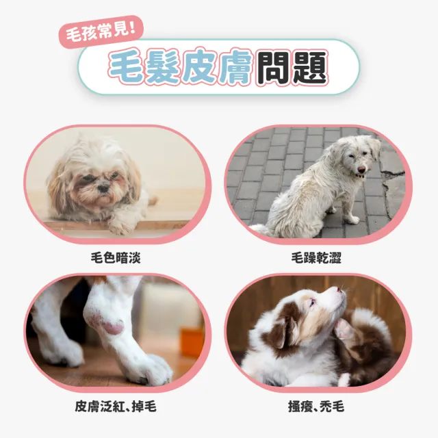 【汪汪寶貝】增亮麗Plus+ 30包/盒(貓狗保健/寵物益生菌/毛髮保養)