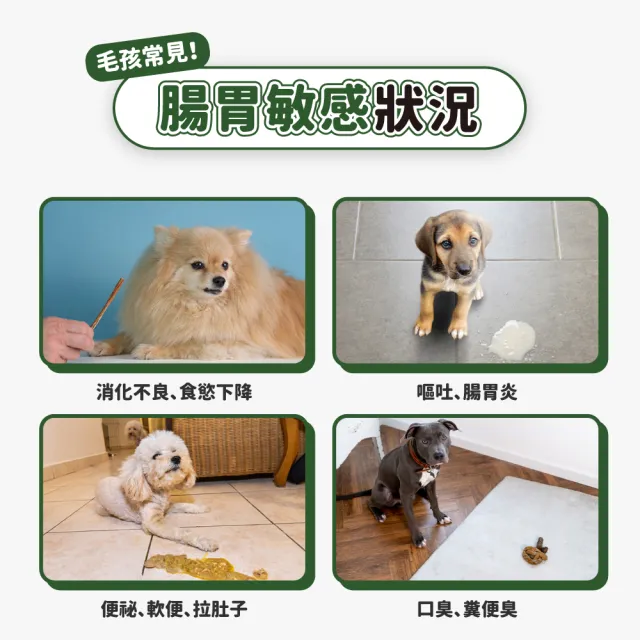 【汪汪寶貝】增腸力Plus+ 30包/盒(貓狗保健/寵物益生菌/腸胃保健)