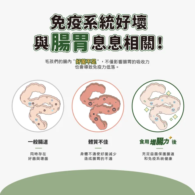 【汪汪寶貝】增腸力Plus+ 30包/盒(貓狗保健/寵物益生菌/腸胃保健)