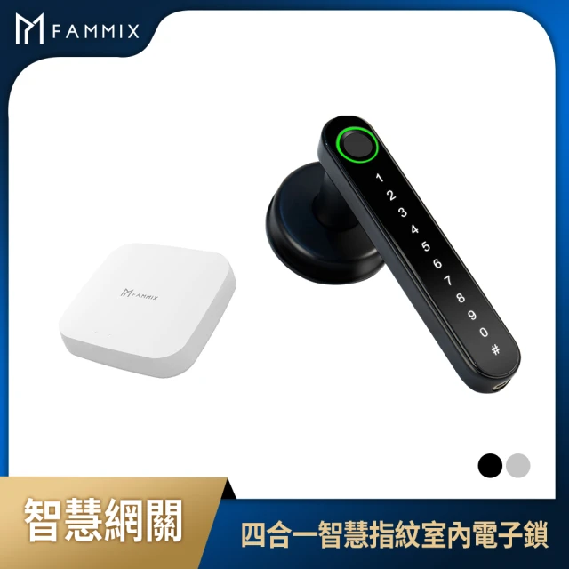 Pamex Mifare Desfire 二合一電子輔助鎖(