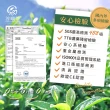 【淳嶼茶】GABA佳葉龍茶葉組合250g(球型/條朵型)