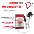 【ROYAL 法國皇家】中型成犬專用飼料MA 15KG(狗乾糧 狗飼料)