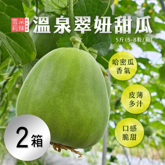 雪莉朵辣 宜蘭溫泉網紋綠肉洋香瓜x2箱(五斤 2顆裝 產地直