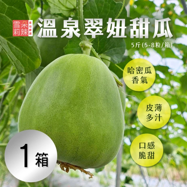 初品果 屏東鹽埔珍翠芭樂禮盒4斤5-8顆x2盒(有身分證的芭