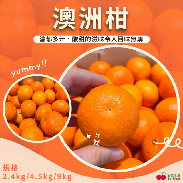 鮮食堂 南投紅心甜橙5斤x1箱(5斤/箱/鮮採)優惠推薦