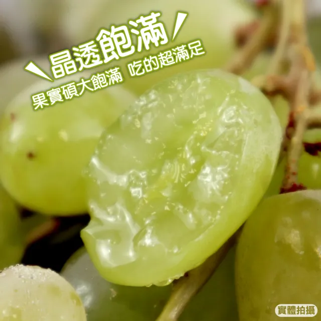【WANG 蔬果】美國無籽綠葡萄800-1000gx5袋(空運直送.無籽葡萄.進口水果)