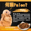 【ABSOLUTE HOLISTIC 超越巔峰】犬用鮮肉主食肉片1kg(寵物零食/狗肉乾/狗零食/狗肉片/生食肉片)