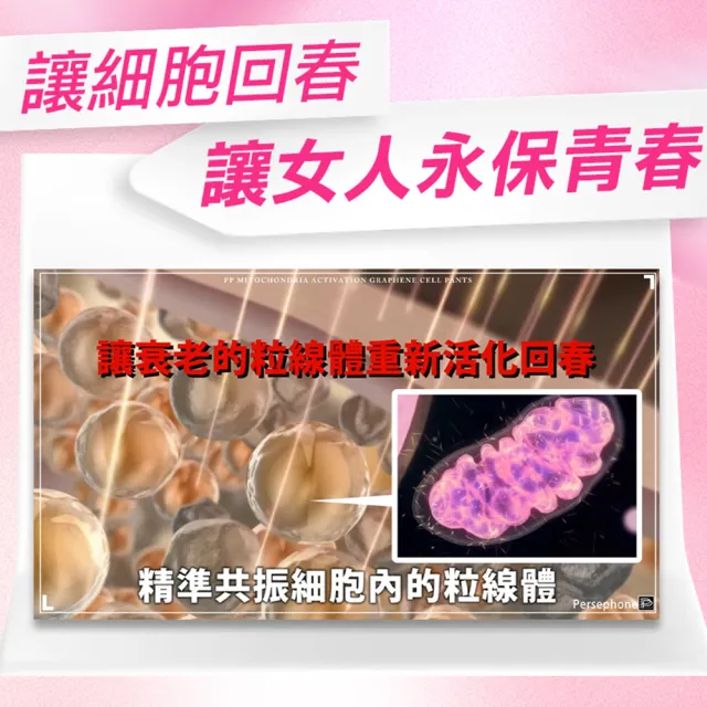 【PP 波瑟楓妮】石墨烯專利粒線體活化細胞內褲8件組(大老闆聯盟節目推薦)