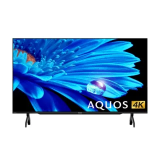 【SHARP 夏普】75型 AQUOS LED 4K Google TV聯網顯示器(4T-C75FK1X)