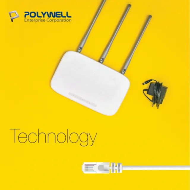 【POLYWELL】CAT6 網路線 /20M