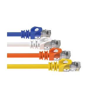 【POLYWELL】CAT6 網路線 /50公分 /2入