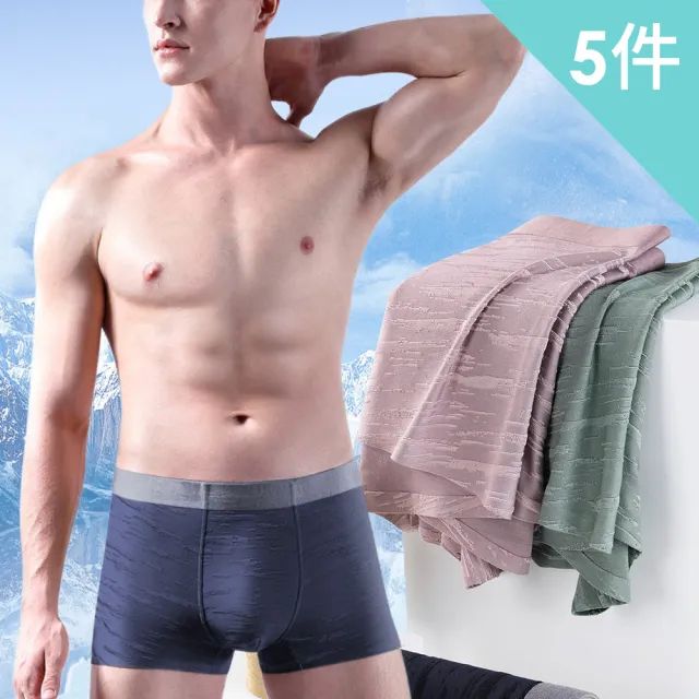 【Dylce 黛歐絲】● 5件組-莫代爾舒適無痕四角內褲/透氣/涼感/無痕內褲/中高腰內褲(隨機/出清品)