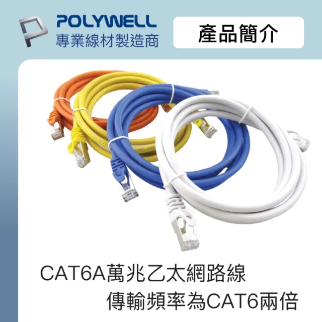 【POLYWELL】CAT6A 高速乙太網路線 S/FTP 10Gbps /2M