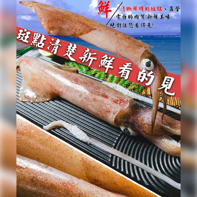 【鮮綠生活】野生船凍透抽 3包(500g±10%/包 2隻/包;中秋烤肉、露營)