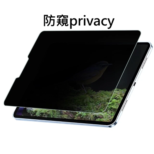 SOBiGO iPad 2024 9H鋼化玻璃 AIR/PRO13吋(滿版2.5D 防偷窺)