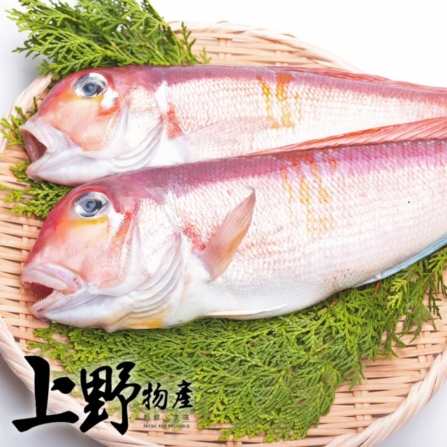 上野物產 5隻 馬頭魚(200-300g±10%/隻 海鮮/