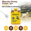 【紐西蘭Airborne艾爾邦】麥蘆卡百花蜂蜜 花粉含量30+ 500克(百花蜂蜜)