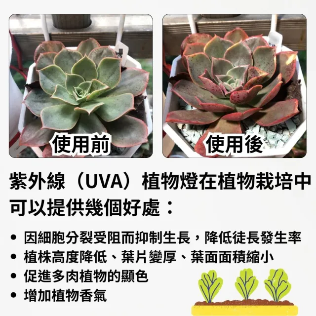 【JIUNPEY 君沛】3呎 40W 全光譜+UV紫外線 防水型LED植物燈管(植物生長燈 三防燈)