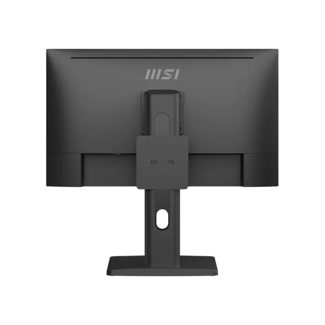 【MSI 微星】PRO MP253P 25型 IPS FHD 100Hz 平面商用螢幕(三輸出/可旋轉/內建喇叭)