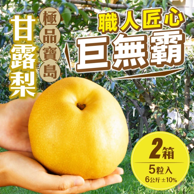 雪莉朵辣 苗栗甘露梨五粒裝/箱(6公斤±10% x2箱)