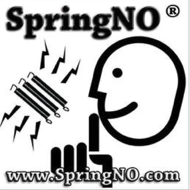 【SpringNO】電吉他搖座彈簧雜音消除膠條(公司貨保證)