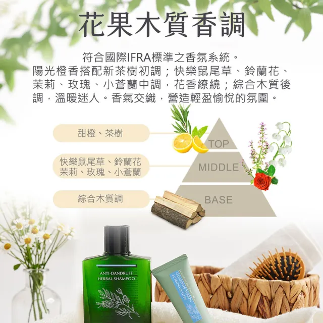 【黑淬絲】蜂膠草本淨化洗髮精320ml(清新亞麻 淨化皮屑/頭皮癢適用)