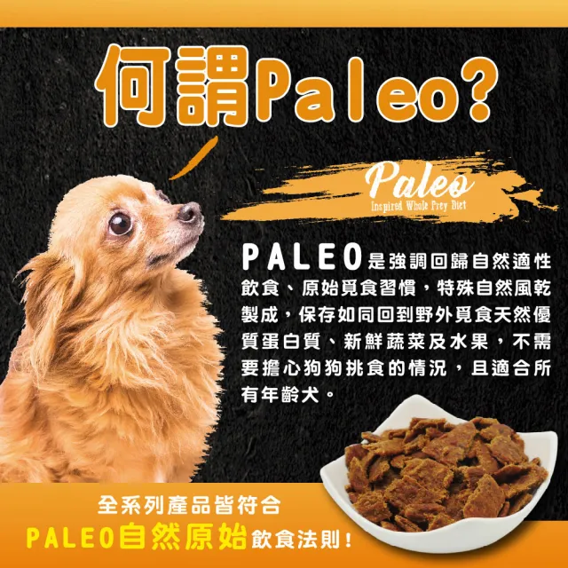 【ABSOLUTE HOLISTIC 超越巔峰】犬用鮮肉主食肉片100g(寵物零食/狗肉乾/狗零食/狗肉片/生食肉片)