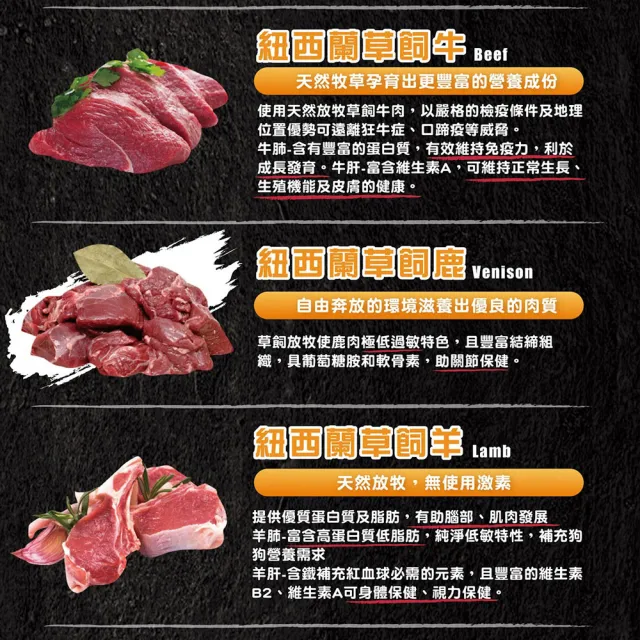 【ABSOLUTE HOLISTIC 超越巔峰】犬用鮮肉主食肉片100g(寵物零食/狗肉乾/狗零食/狗肉片/生食肉片)