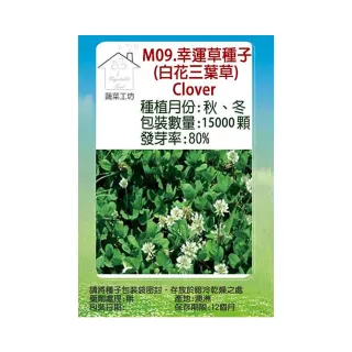 【蔬菜工坊】M09.幸運草種子(白花三葉草)