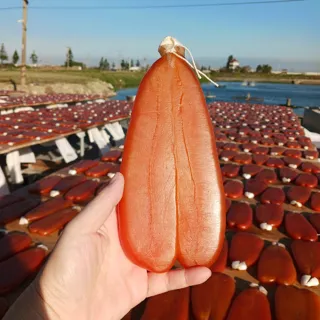 【Coastline海岸鮮物】精美烏魚子三兩禮盒組3片入附提袋(年節烏魚子  過年烏魚子 必買伴手禮)