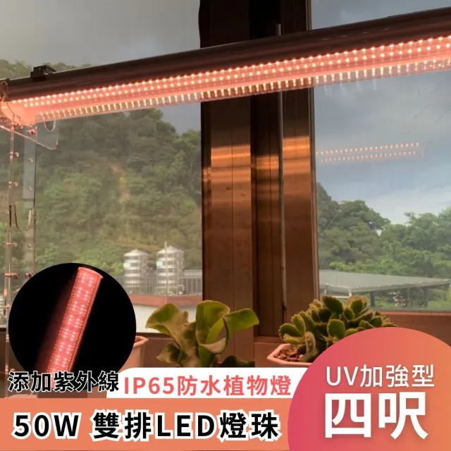 【JIUNPEY 君沛】4呎 50W 加強型光譜+UV紫外線 防水型LED植物燈管(植物生長燈 三防燈)