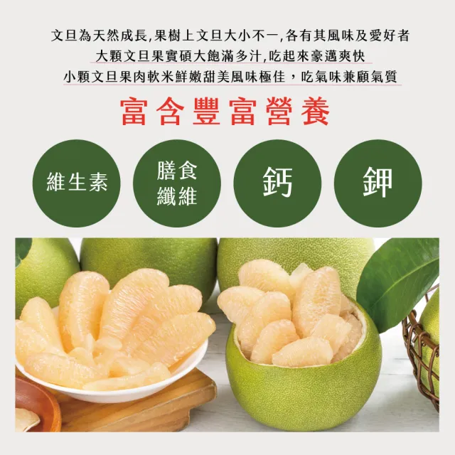 【初品果】花蓮鶴岡海伯40年老欉文旦禮盒10斤7-9顆x1箱(大果_中秋禮盒_好友揪團_企業送禮)