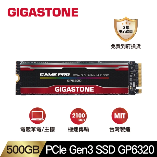 Gigastone 立達國際 GT6470 1TB PCIe