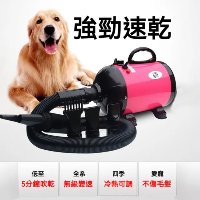 寵物專用吹水機/吹風機-附四種吹頭(狗狗吹毛工具 寵物吹毛 寵物烘乾)